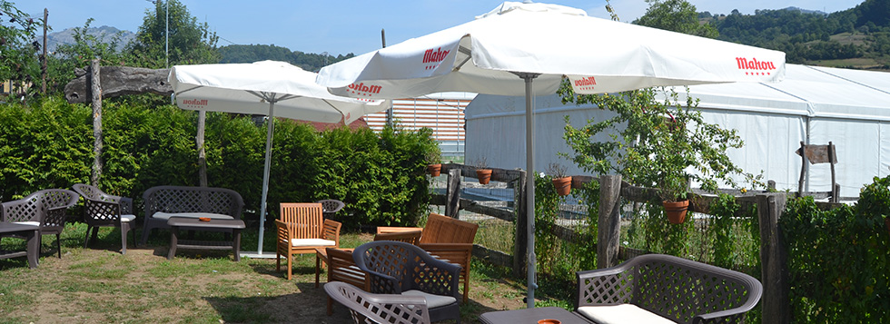 Restaurante Berna