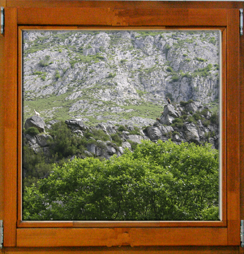 Ruta del Castañero Montes