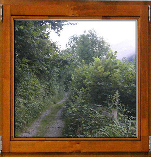 Senda verde