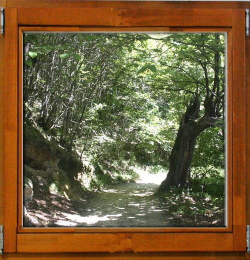 Senda verde